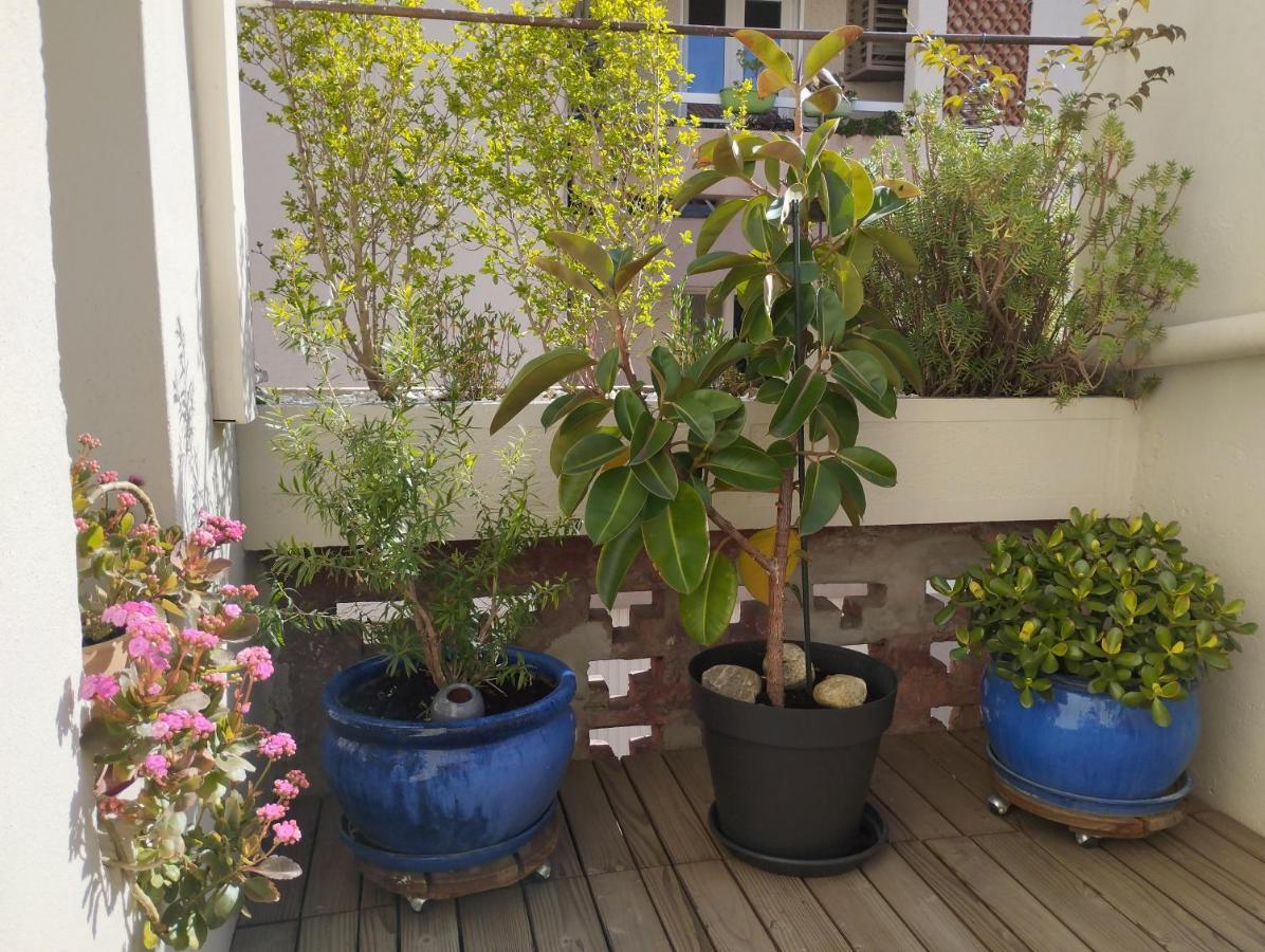 Bel Appartement Privatif Perpignan Exteriör bild